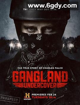 黑帮卧底 第一季(2015)完结6集全迅雷网盘全集下载