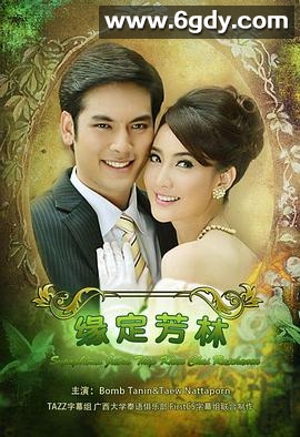 名门绅士之缘定芳林(2013)完结已完结迅雷网盘全集下载