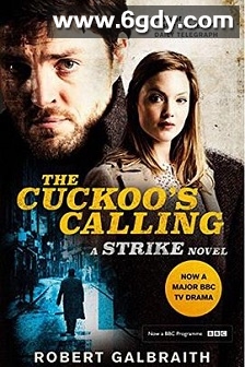 神探科莫兰 第一季(2017)完结第7集完结迅雷网盘全集下载