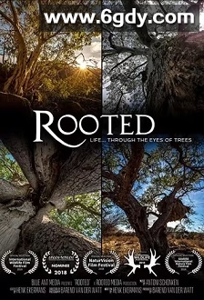 生命之树(2018)完结5集全迅雷网盘全集下载