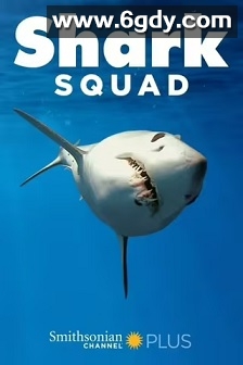 鲨鱼小队 第一季(2018)完结4集全迅雷网盘全集下载