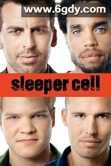 危机四伏 第一季(2005)完结10集全迅雷网盘全集下载