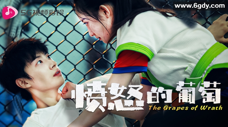 愤怒的葡萄(2024)完结12集全迅雷网盘全集下载