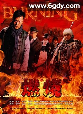 燃烧(2015)完结全31集迅雷网盘全集下载