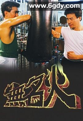 无名火(1988)完结20集全迅雷网盘全集下载