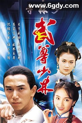 武尊少林(1993)完结20集全迅雷网盘全集下载