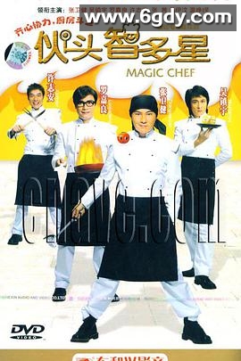 伙头智多星(2004)完结全30集迅雷网盘全集下载