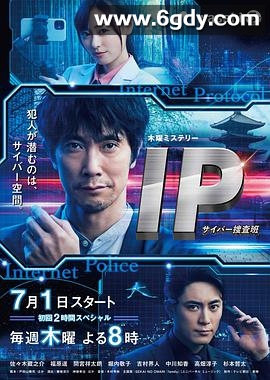 IP~网络搜查班(2021)完结全9集迅雷网盘全集下载