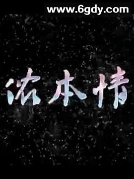 侬本情(2015)完结第28集完结迅雷网盘全集下载