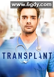 移植手术 第一季(2020)完结13集全迅雷网盘全集下载