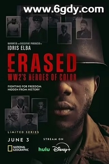 Erased: WW2's Heroes of Color Season 1(2024)完结4集全迅雷网盘全集下载