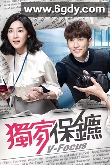 独家保镖(2016)完结全65集迅雷网盘全集下载