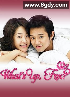 狐狸啊你干啥呢(2006)完结全16集迅雷网盘全集下载