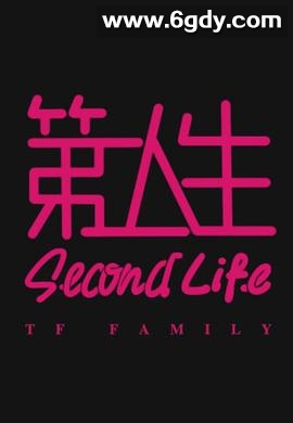 第二人生(2017)完结已完结迅雷网盘全集下载