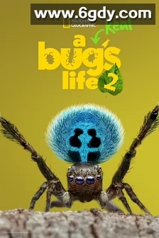 虫虫历险记 第二季(2025)完结5集全迅雷网盘全集下载