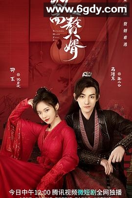 双面赘婿 第二季(2022)完结28集全迅雷网盘全集下载