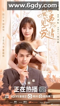 我可能遇见了爱情(2023)完结已完结迅雷网盘全集下载