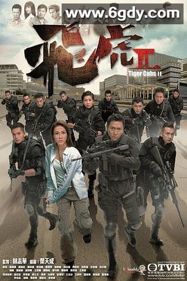 飞虎2(2014)完结10集全迅雷网盘全集下载