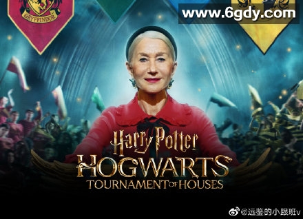 哈利·波特：霍格沃茨学院锦标赛(2021)完结完结迅雷网盘全集下载