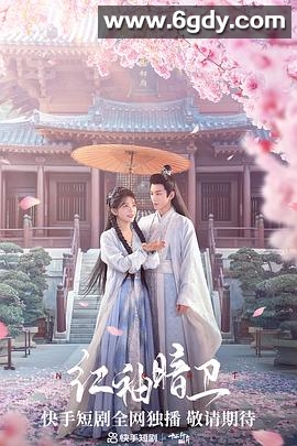 红袖暗卫(2023)完结完结迅雷网盘全集下载