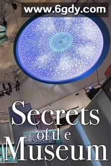 博物馆的秘密 第二季(2021)完结6集全迅雷网盘全集下载