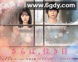 再见、美好时光(2023)完结更新至08集迅雷网盘全集下载