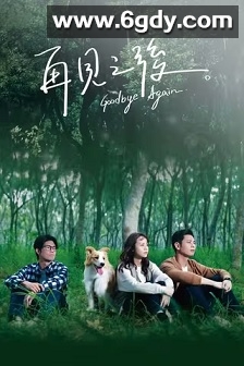 再见之后(2023)完结10集全迅雷网盘全集下载