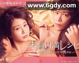 夫妻圆满秘籍要不要交换？一晚就好(2022)完结12集全迅雷网盘全集下载