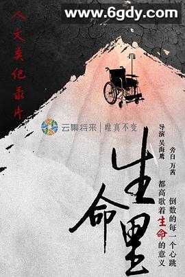 生命里(2018)完结全3集迅雷网盘全集下载