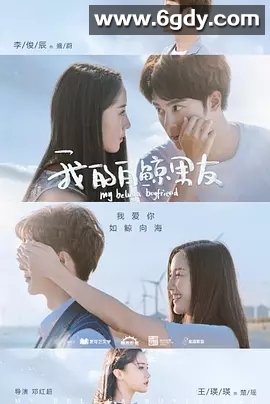 我的白鲸男友(2019)完结全12集迅雷网盘全集下载