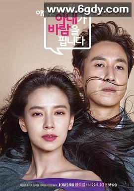 这周，妻子要劈腿了(2016)完结更新至12集已完结迅雷网盘全集下载