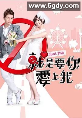 就是要你爱上我(2013)完结全21集迅雷网盘全集下载