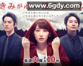 你已藏在我心底(2018)完结完结迅雷网盘全集下载