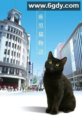 银座黑猫物语(2020)完结更新第10集迅雷网盘全集下载