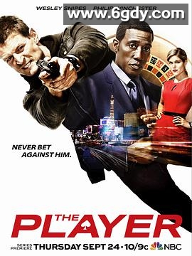 终极玩家(2015)完结更新至9集已完结迅雷网盘全集下载