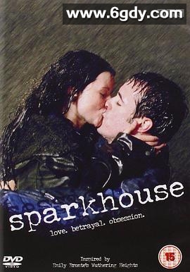 迷情山庄(2002)完结全3集迅雷网盘全集下载