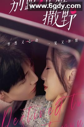 别跟姐姐撒野(2022)完结更新至20集迅雷网盘全集下载