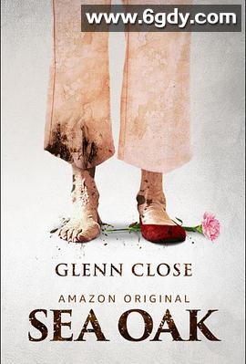 海橡树(2017)完结HD迅雷网盘全集下载