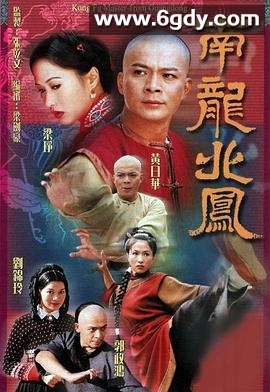 南龙北凤(2001)完结20集全迅雷网盘全集下载