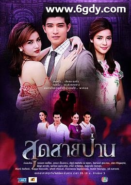 无尽的爱2013(2013)完结已完结迅雷网盘全集下载