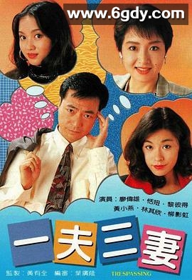 一夫三妻(1994)完结20集全迅雷网盘全集下载