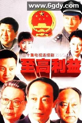 至高利益(2004)完结已完结迅雷网盘全集下载