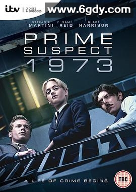 主要嫌疑犯1973(2017)完结6集全迅雷网盘全集下载