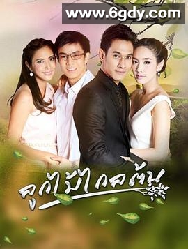 劫缘2016(2016)完结已完结迅雷网盘全集下载