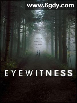 目击证人(2016)完结已完结迅雷网盘全集下载