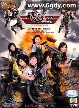 师奶兵团(2007)完结21集全迅雷网盘全集下载
