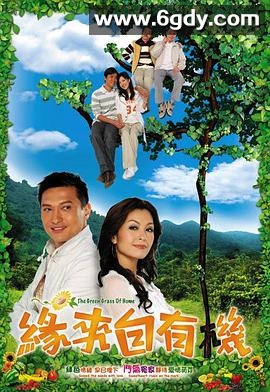 缘来自有机(2007)完结20集全迅雷网盘全集下载
