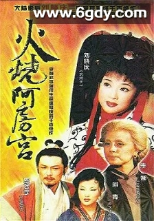 火烧阿房宮(1996)完结全40集迅雷网盘全集下载