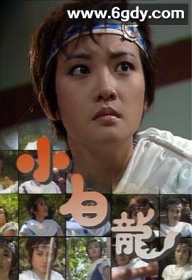小白龙国语(1989)完结已完结迅雷网盘全集下载