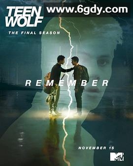 少狼 第六季(2016)完结20集全迅雷网盘全集下载